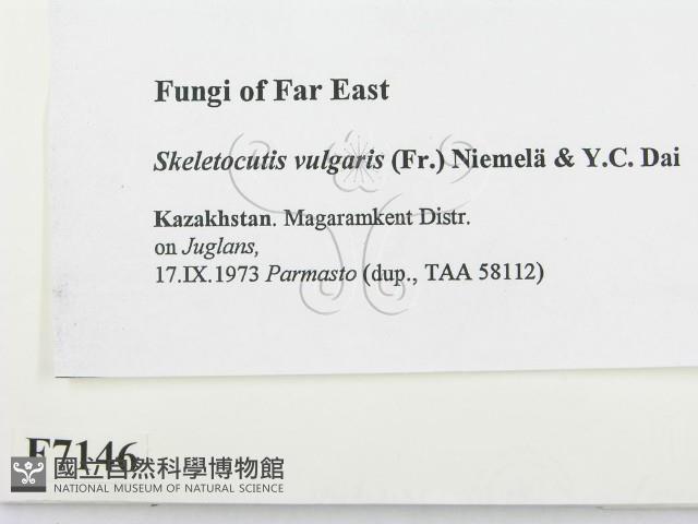 登錄號:F0007146藏品圖，第2張