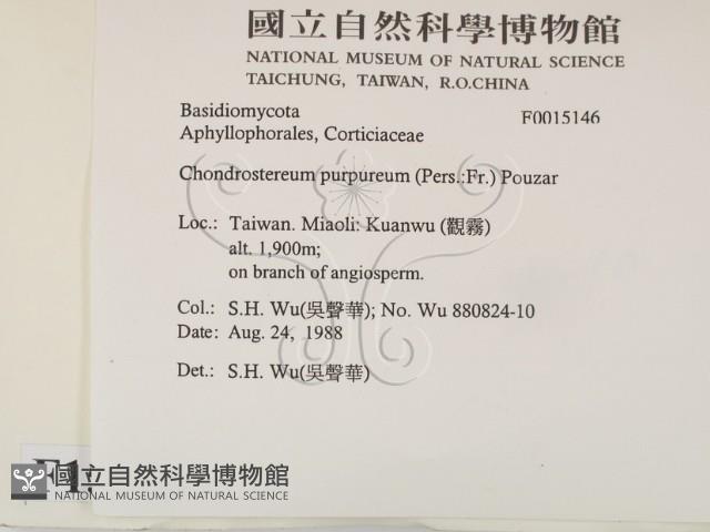 登錄號:F0015146藏品圖，第2張