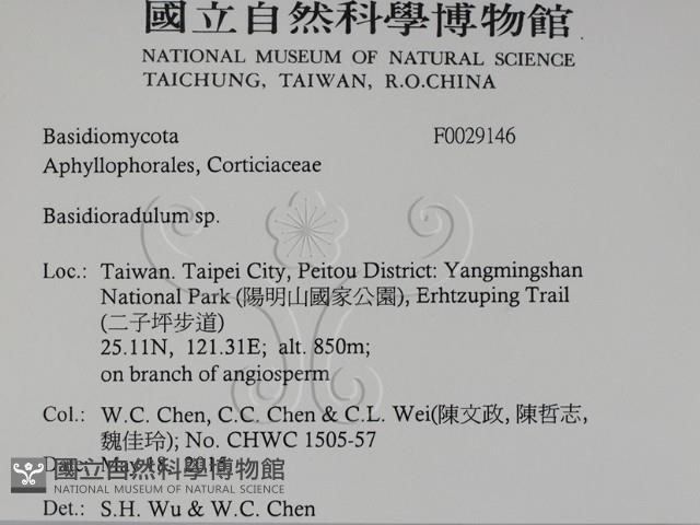 登錄號:F0029146藏品圖，第2張