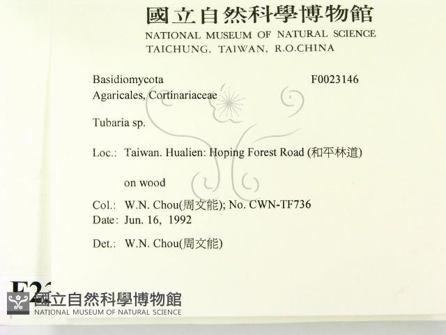 登錄號:F0023146藏品圖，第2張