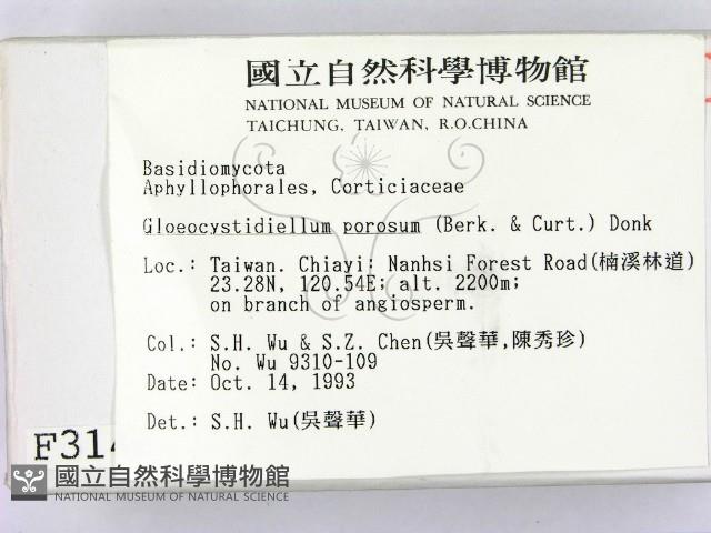 登錄號:F0003146藏品圖，第2張