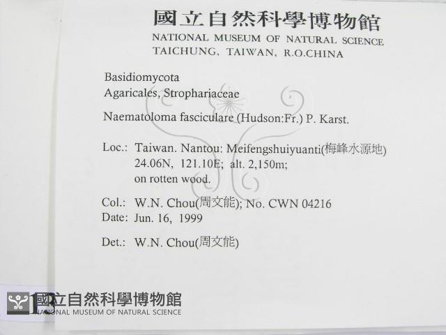 登錄號:F0013146藏品圖，第2張