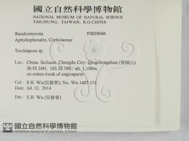 登錄號:F0028046藏品圖，第2張