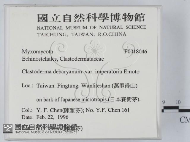 登錄號:F0018046藏品圖，第2張