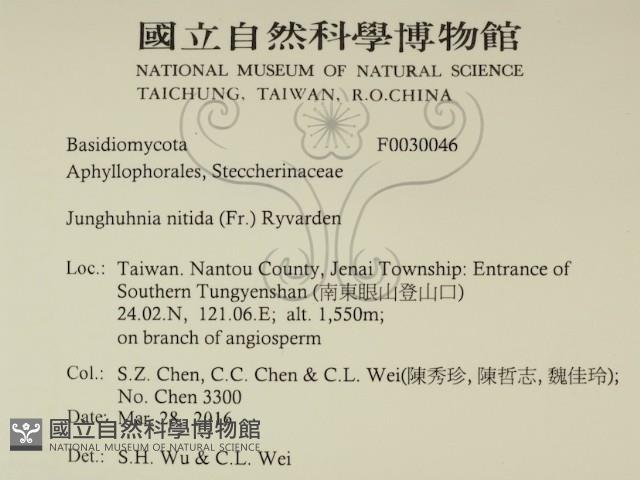 登錄號:F0030046藏品圖，第2張