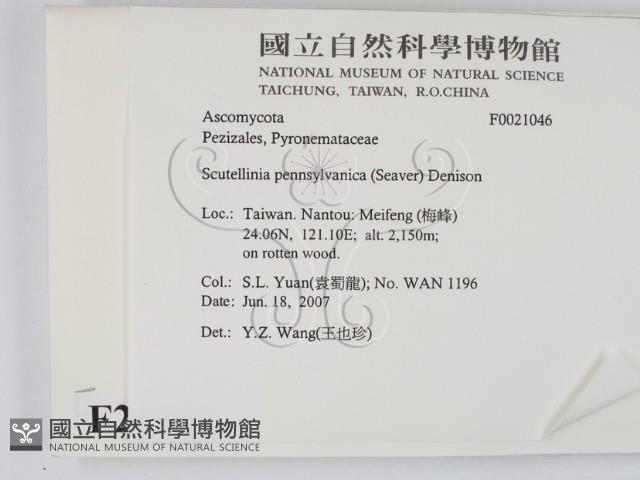 登錄號:F0021046藏品圖，第2張