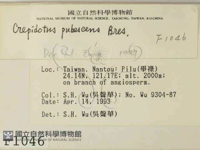 登錄號:F0001046藏品圖，第2張
