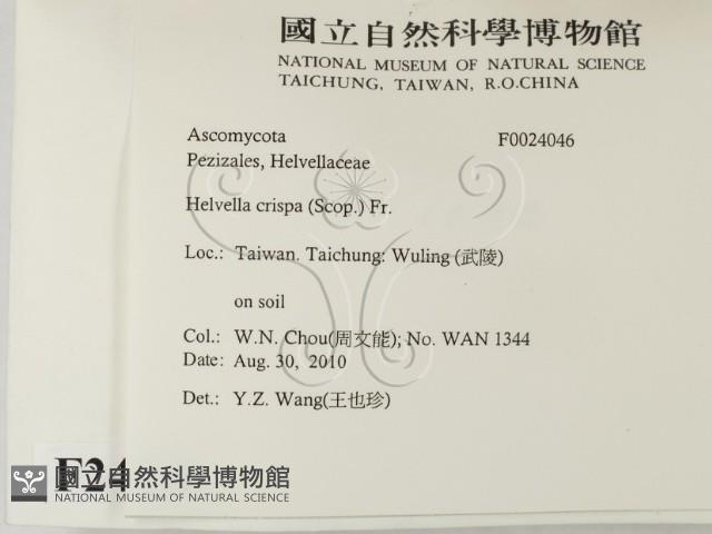 登錄號:F0024046藏品圖，第2張