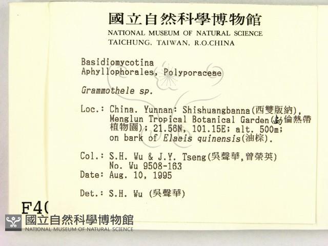 登錄號:F0004046藏品圖，第2張