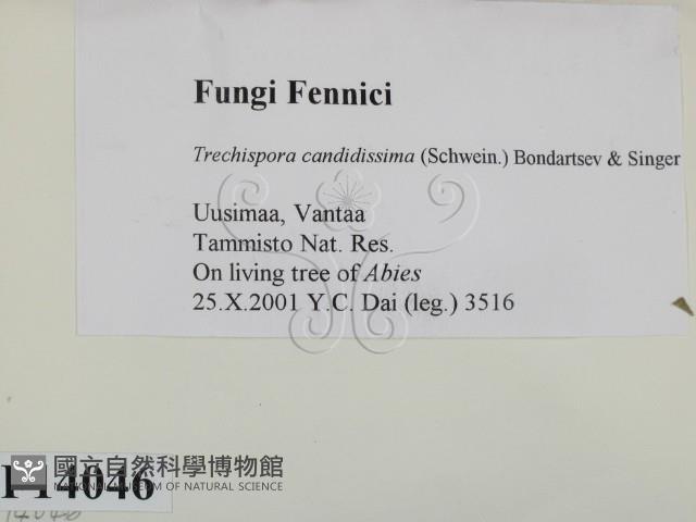 登錄號:F0014046藏品圖，第2張