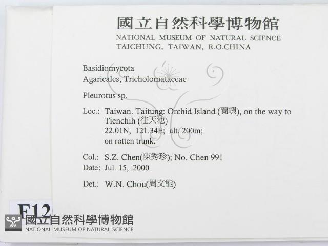 登錄號:F0012046藏品圖，第2張