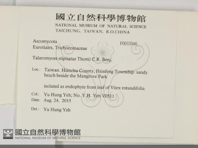 登錄號:F0032046藏品圖，第2張