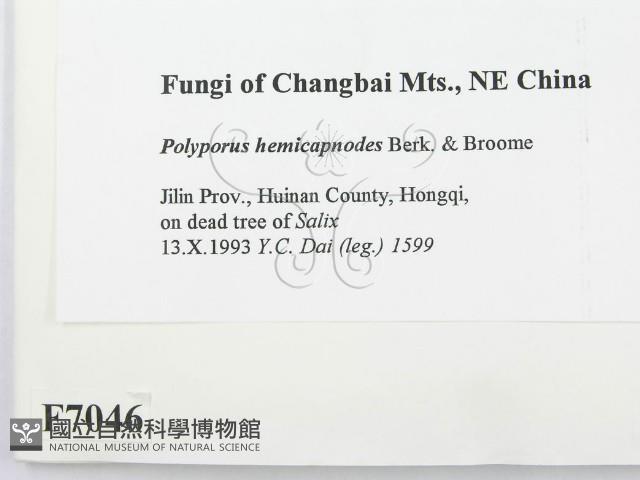 登錄號:F0007046藏品圖，第2張