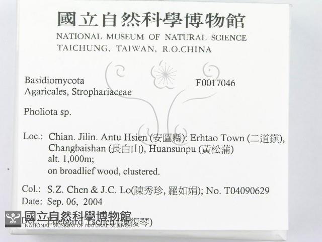 登錄號:F0017046藏品圖，第2張