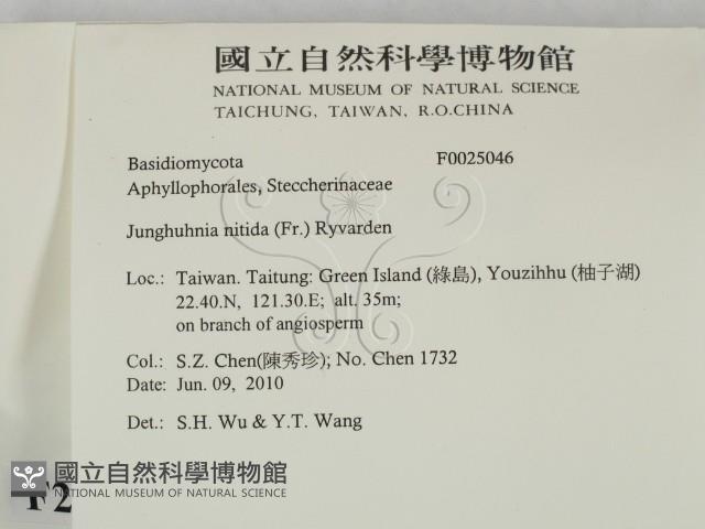 登錄號:F0025046藏品圖，第2張