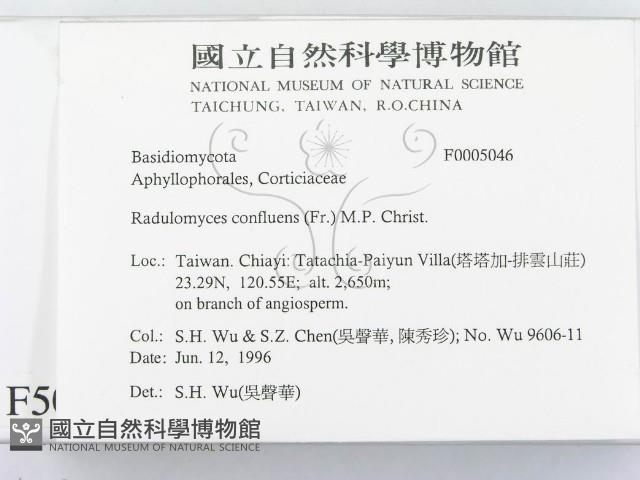 登錄號:F0005046藏品圖，第2張