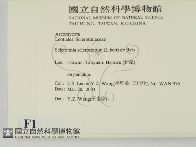 登錄號:F0015046藏品圖，第2張