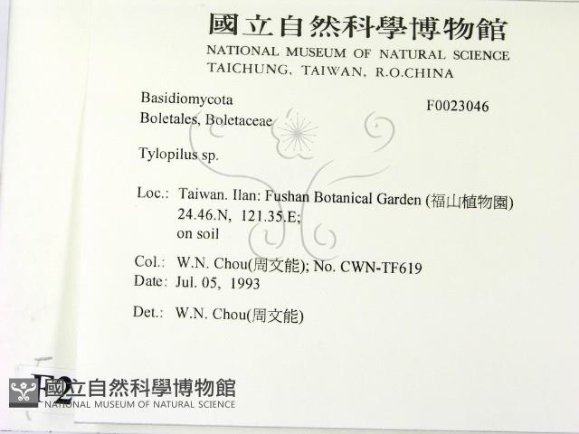 登錄號:F0023046藏品圖，第2張