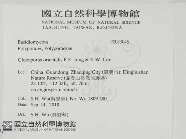 登錄號:F0033046藏品圖，第2張