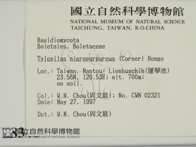 登錄號:F0008346藏品圖，第2張