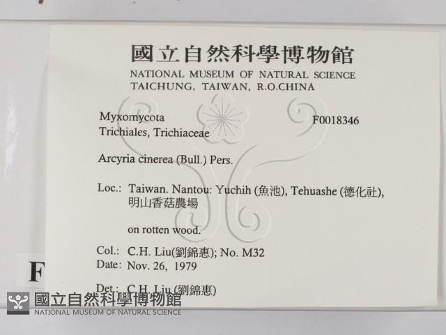 登錄號:F0018346藏品圖，第2張