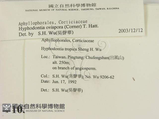 登錄號:F0010346藏品圖，第2張