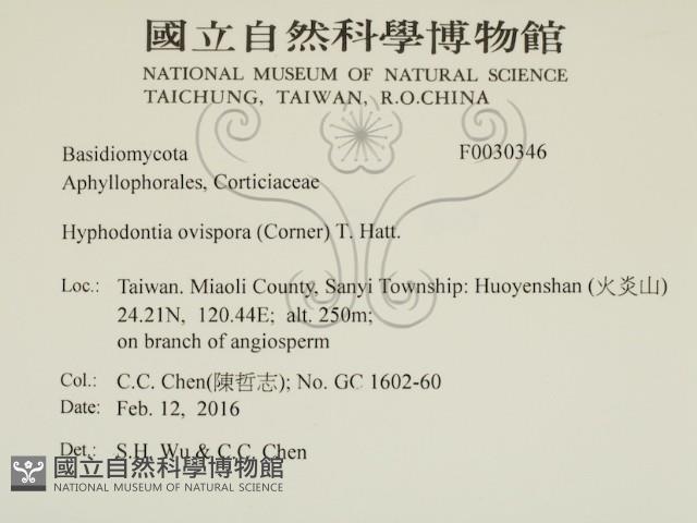 登錄號:F0030346藏品圖，第2張