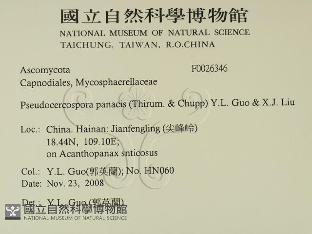 登錄號:F0026346藏品圖，第2張