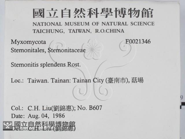 登錄號:F0021346藏品圖，第2張