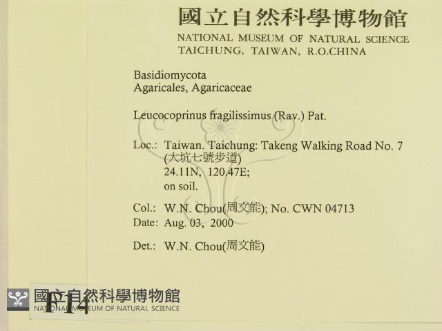 登錄號:F0014346藏品圖，第2張