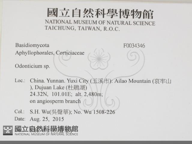 登錄號:F0034346藏品圖，第2張