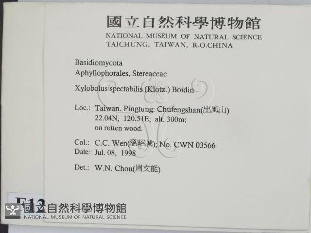 登錄號:F0012346藏品圖，第2張