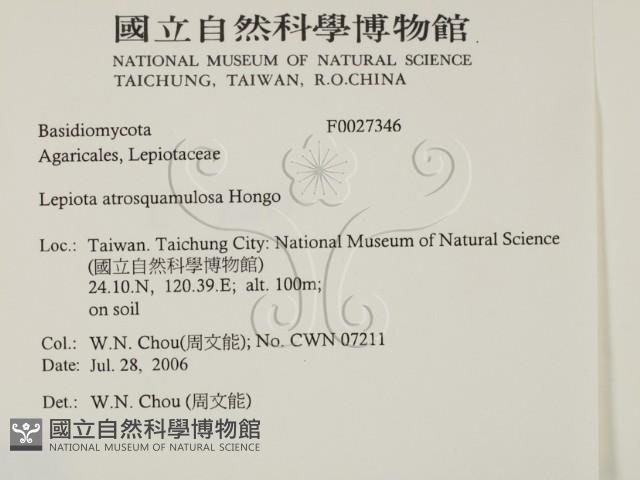 登錄號:F0027346藏品圖，第2張