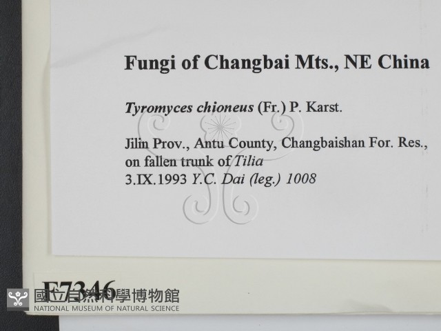 登錄號:F0007346藏品圖，第2張