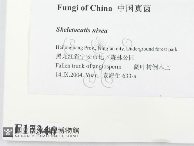 登錄號:F0017346藏品圖，第2張