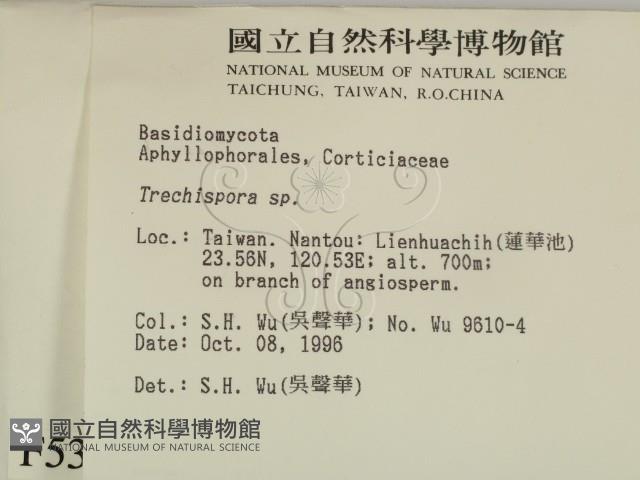 登錄號:F0005346藏品圖，第2張