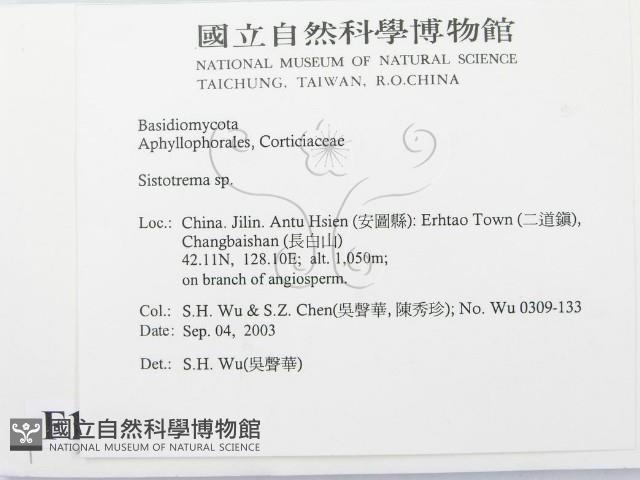 登錄號:F0015346藏品圖，第2張