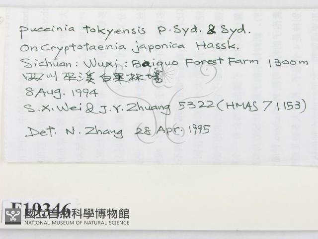 登錄號:F0019346藏品圖，第2張