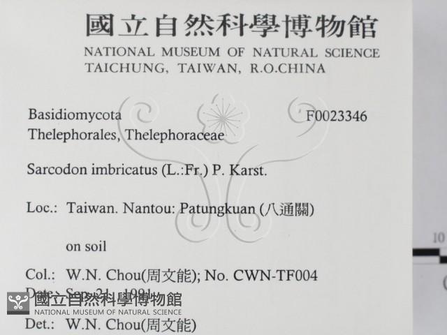 登錄號:F0023346藏品圖，第2張