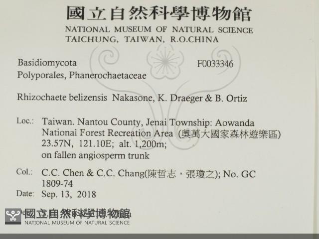 登錄號:F0033346藏品圖，第2張