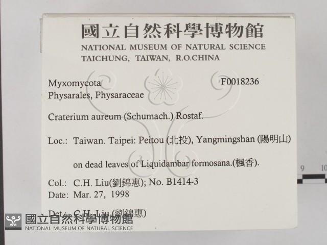 登錄號:F0018236藏品圖，第2張