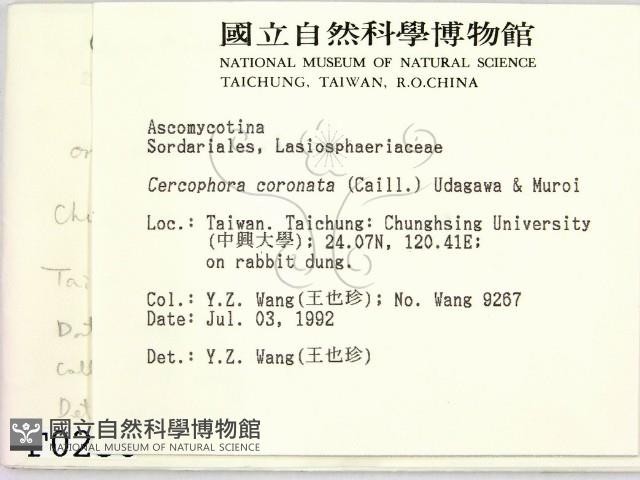 登錄號:F0000236藏品圖，第2張