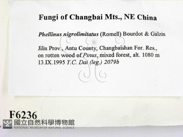 登錄號:F0006236藏品圖，第2張