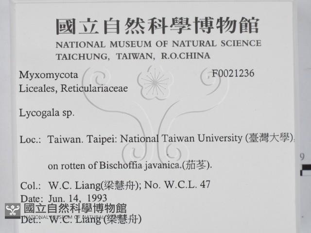 登錄號:F0021236藏品圖，第2張