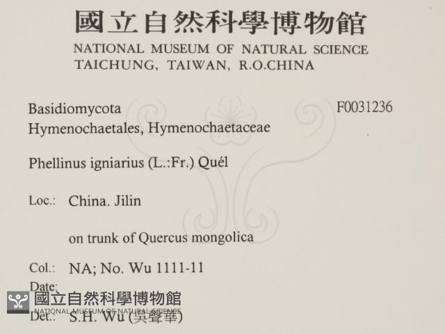 登錄號:F0031236藏品圖，第2張