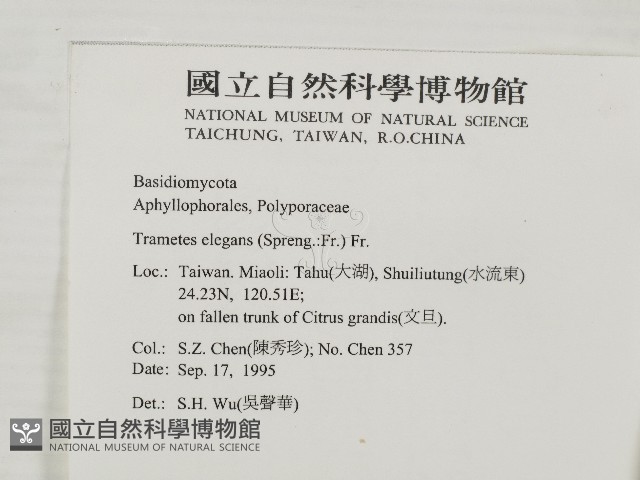 登錄號:F0004236藏品圖，第2張