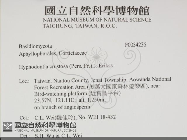 登錄號:F0034236藏品圖，第2張