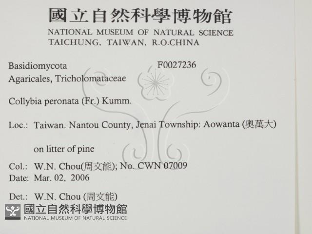 登錄號:F0027236藏品圖，第2張