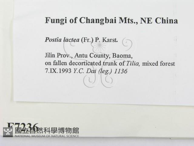 登錄號:F0007236藏品圖，第2張