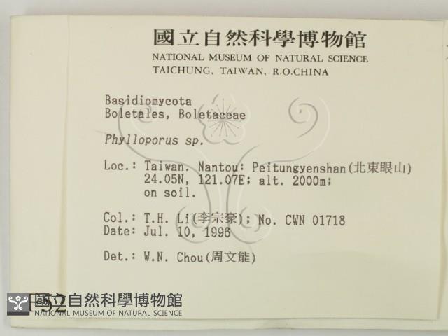 登錄號:F0005236藏品圖，第2張